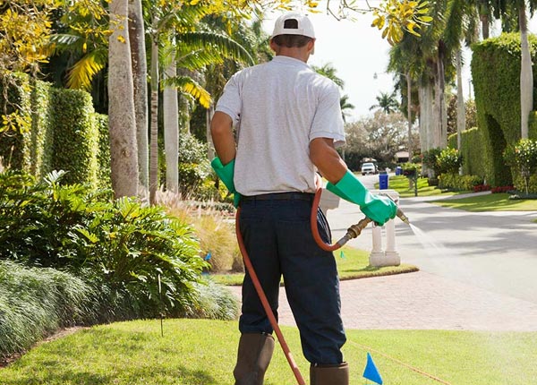 About Acme PA Pest Control